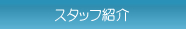 スタッフ紹介